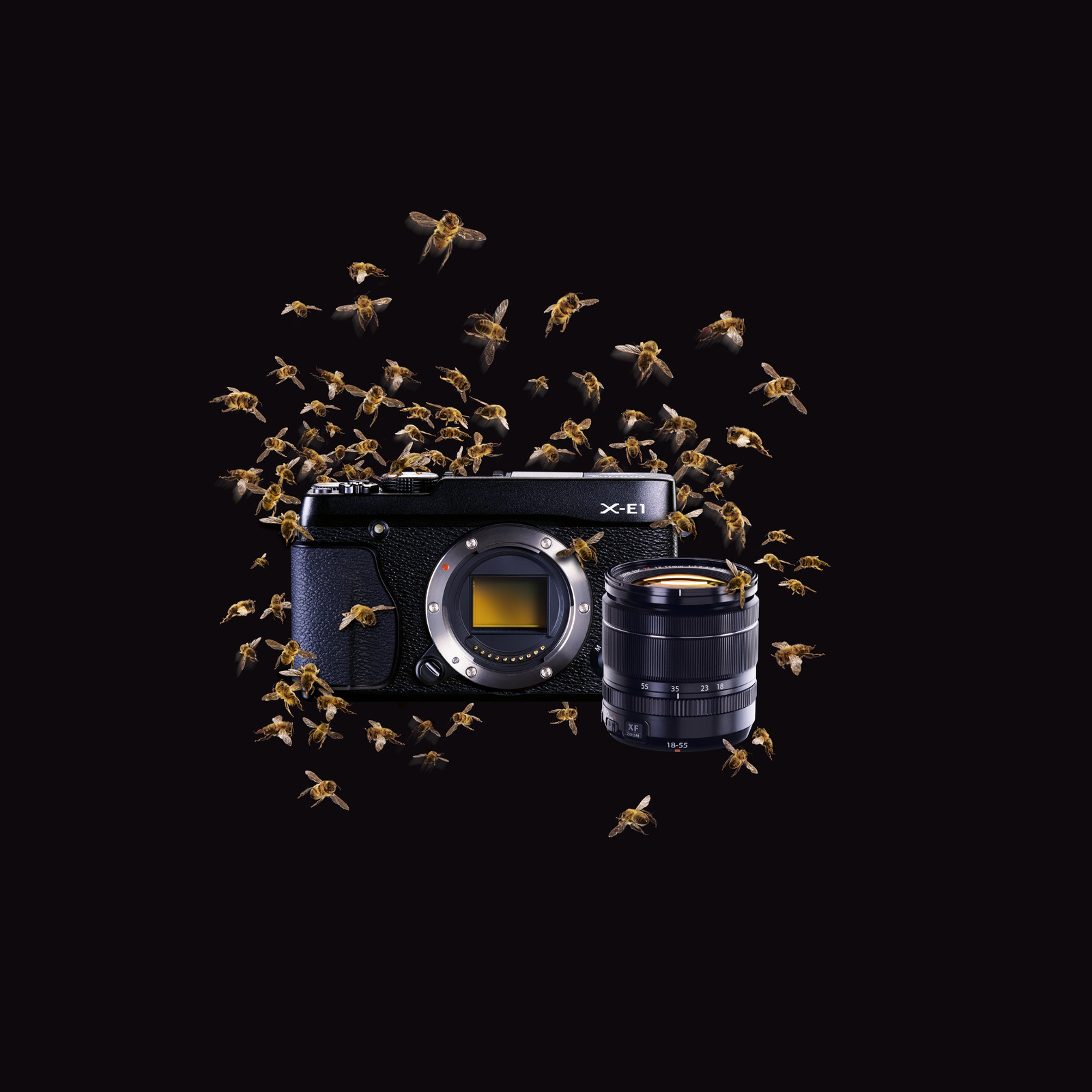 Retouche Photos