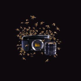 Retouche Photos