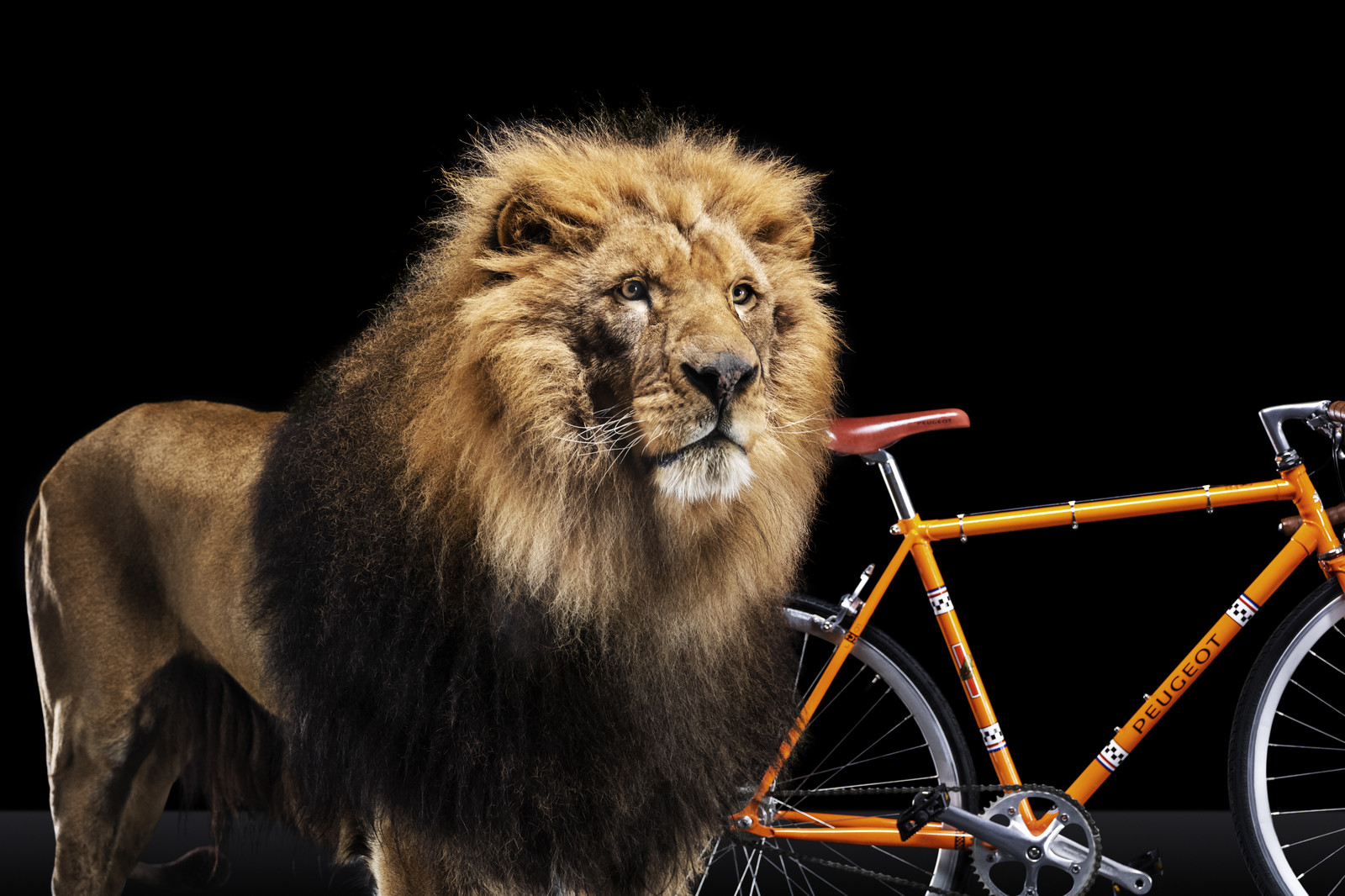 Romain Recht - Retoucheur Photos - Campagne Peugeot Cycle Lion